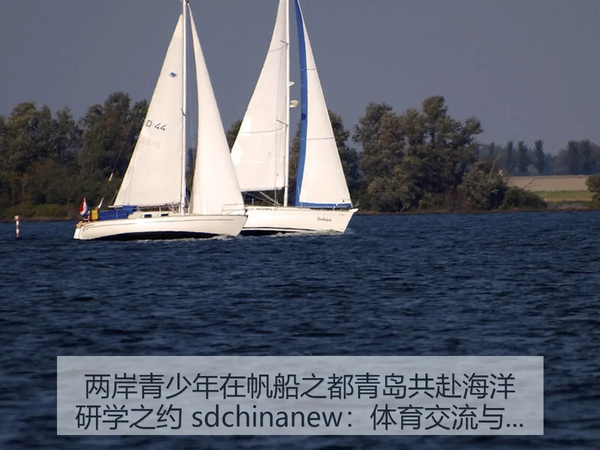 两岸青少年在帆船之都青岛共赴海洋研学之约 sdchinanew:体育交流与海洋教育融合观察
